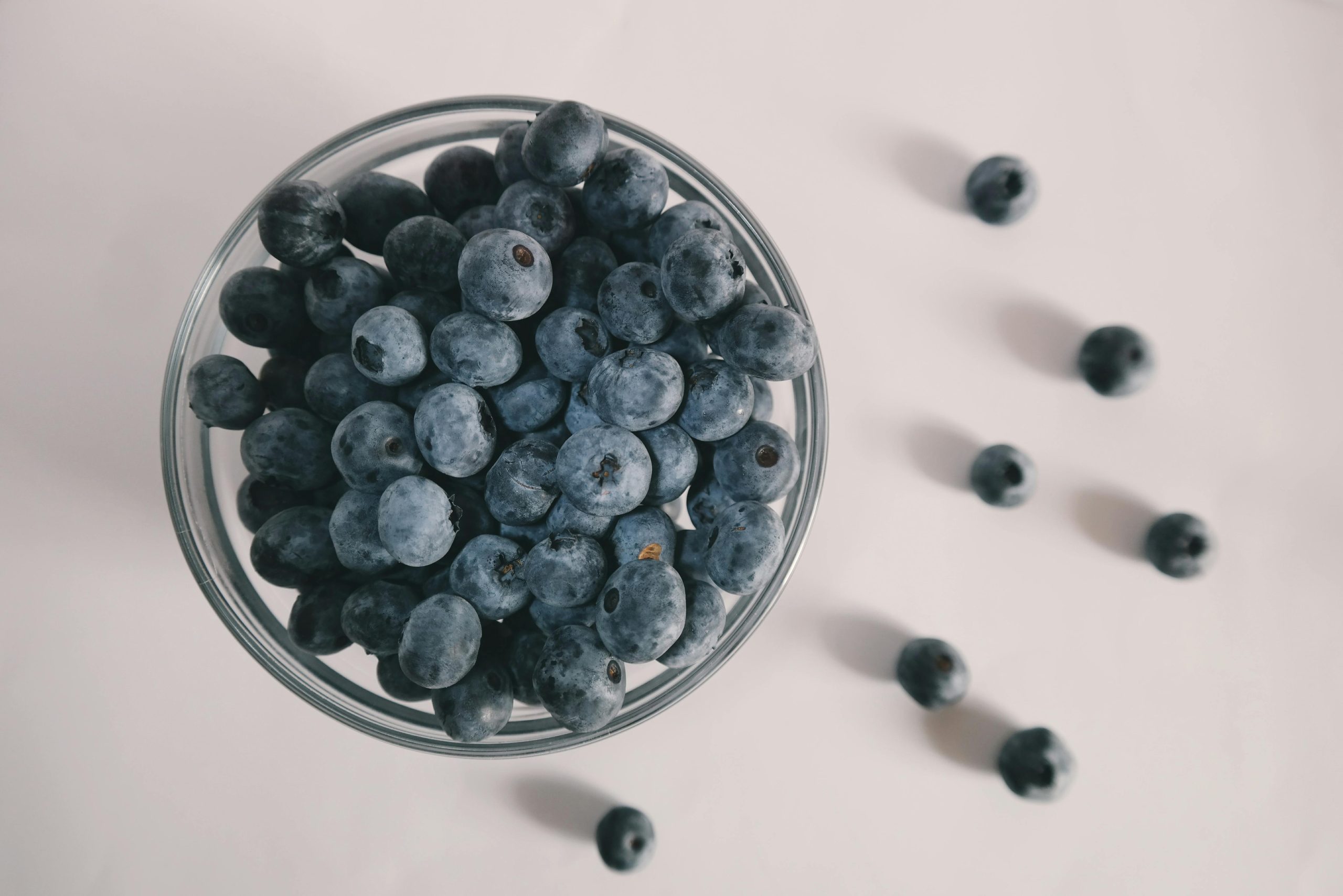 Blue poppy seeds 9 Proven Secrets for Healthy Living